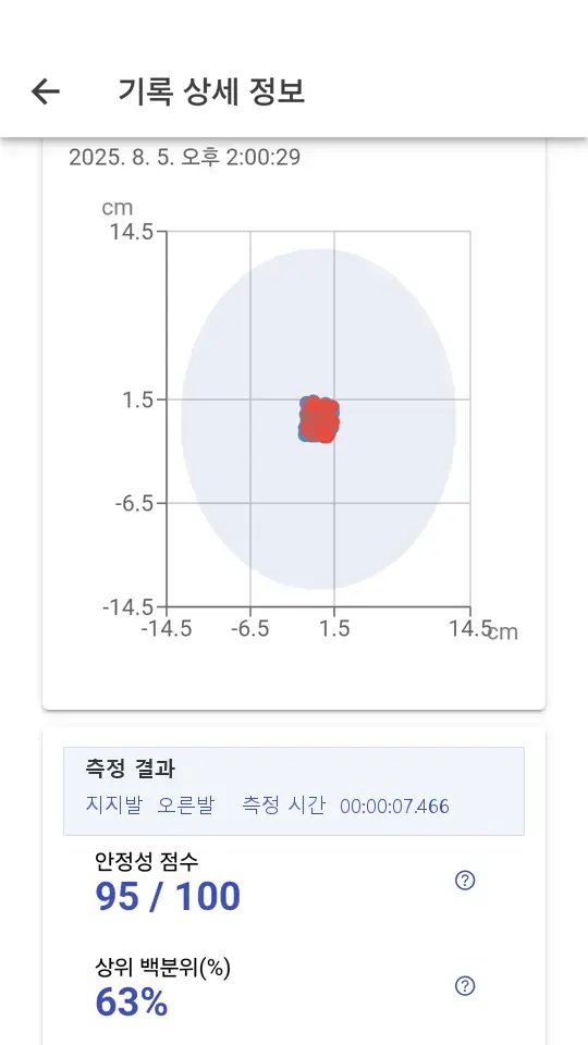 측정 시간과 안정성 점수가 저장된 기록 상세 화면